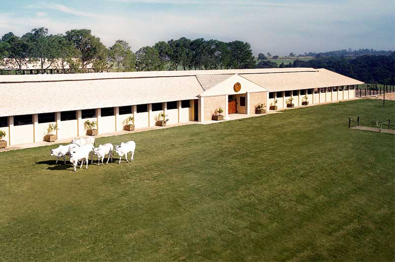 imóveis de alto padrão
