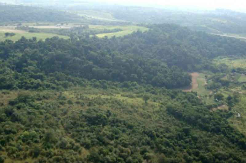 campo grande
