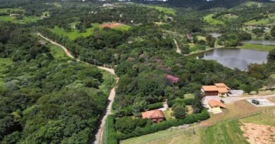 proteção ambiental